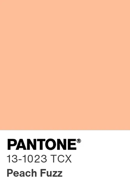 Peach Fuzz - Color del año Pantone 2024